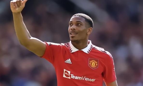 以及森林完 以及森林完